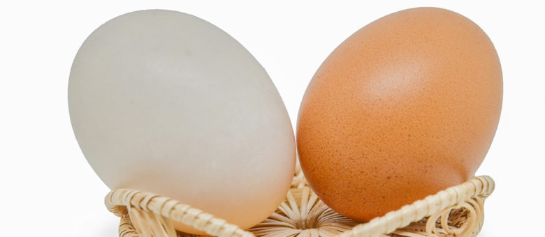 Brown Eggs vs White Eggs